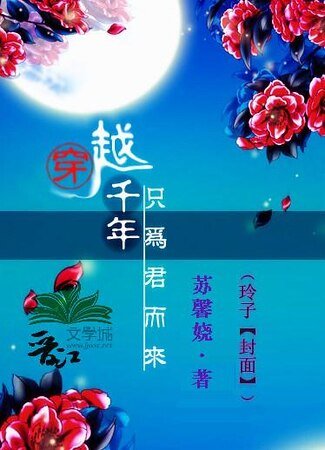 绝色四小姐：穿越千年只为君而来