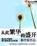 從此繁華一路盛開