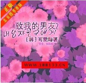 致我的男友