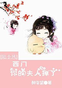 （陆小凤同人）[陆小凤]西门你的夫人掉了