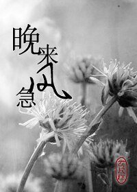 晚来风急+四五六七