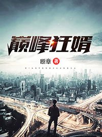 巅峰狂婿