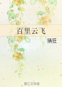 百里云飞