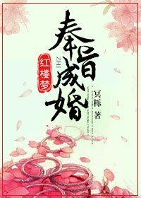 （紅樓同人）[紅樓]奉旨成婚