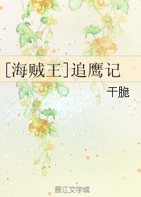 （海贼王同人）[海贼王]追鹰记