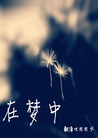 在梦中