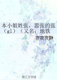 本小姐姓張，囂張的張（gl）/地鐵裡的心靈悸動