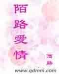 陌路爱情