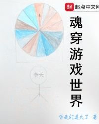《魂穿游戏世界》