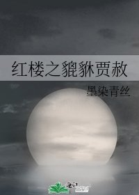 红楼之貔貅贾赦 [参赛作品]