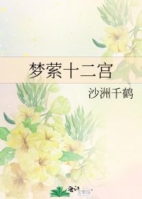 《梦萦十二宫》