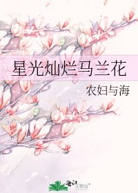 《星光灿烂马兰花》
