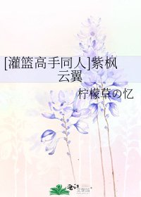[灌籃高手同人]紫楓雲翼