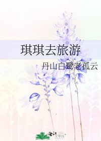琪琪去旅游