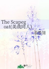 The Scapegoat(美战同人)