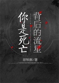 你是死亡背後的流星