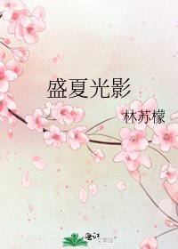 盛夏光影