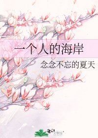 《一个人的海岸》