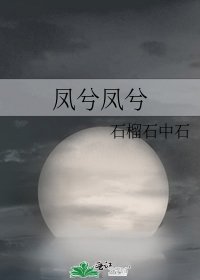 鳳兮鳳兮