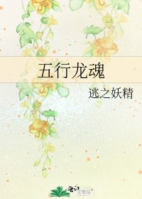 五行龍魂