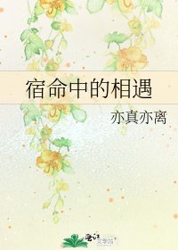 宿命中的相遇