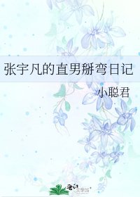 张宇凡的直男掰弯日记