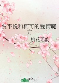 贾平悦和柯可的爱情魔方