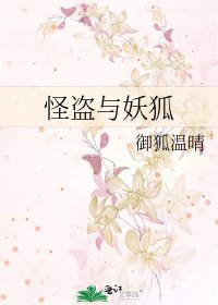 《怪盗与妖狐》