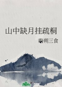 山中缺月挂疏桐