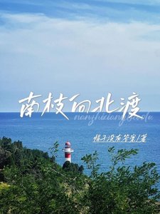 《南枝向北渡》