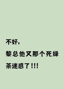 《不好黎总他又被那个死绿茶迷惑了》