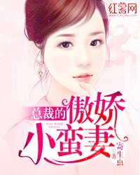 《总裁的傲娇小蛮妻》